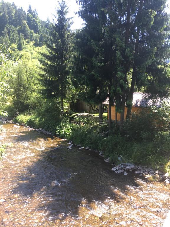 Cabana Felyviss Gîrda de Sus Exterior foto